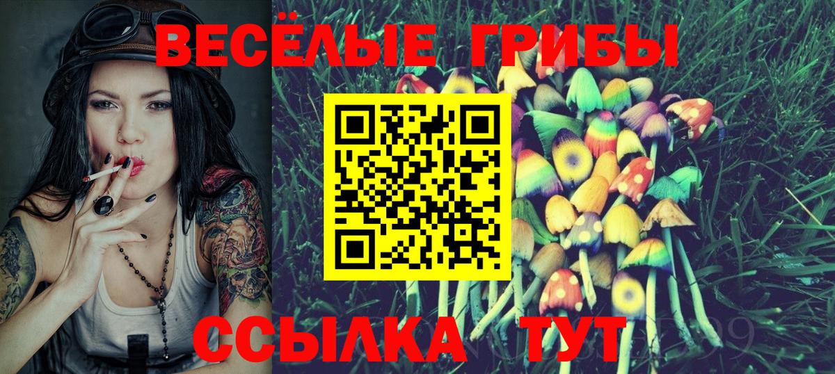 Псилоцибиновые грибы Psilocybine cubensis Заинск