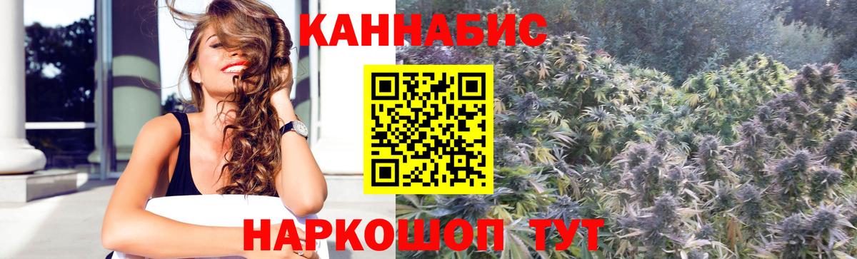 Каннабис ГИДРОПОН  Бошки Шишки White Widow  Марихуана план  Вход с VPN  Заинск 